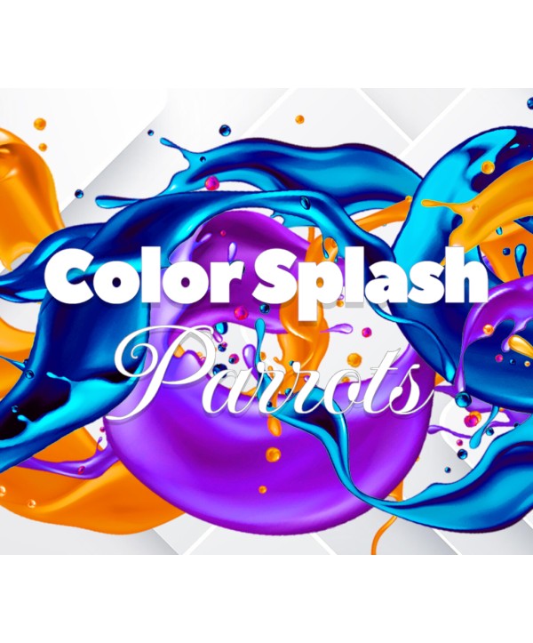 Color Splash: Parrots Steam Key GLOBAL